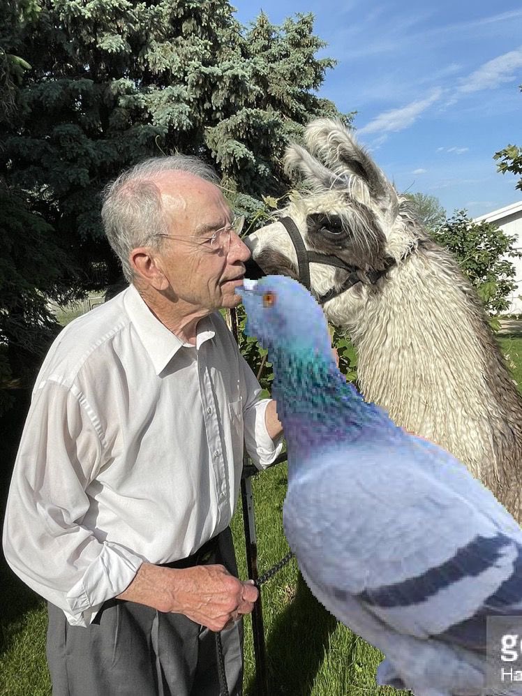 <a href="/ChucksPidgin/">Chuck Grassley's Pidgin</a> <a href="/GrassleyWorks/">Grassley Works</a>