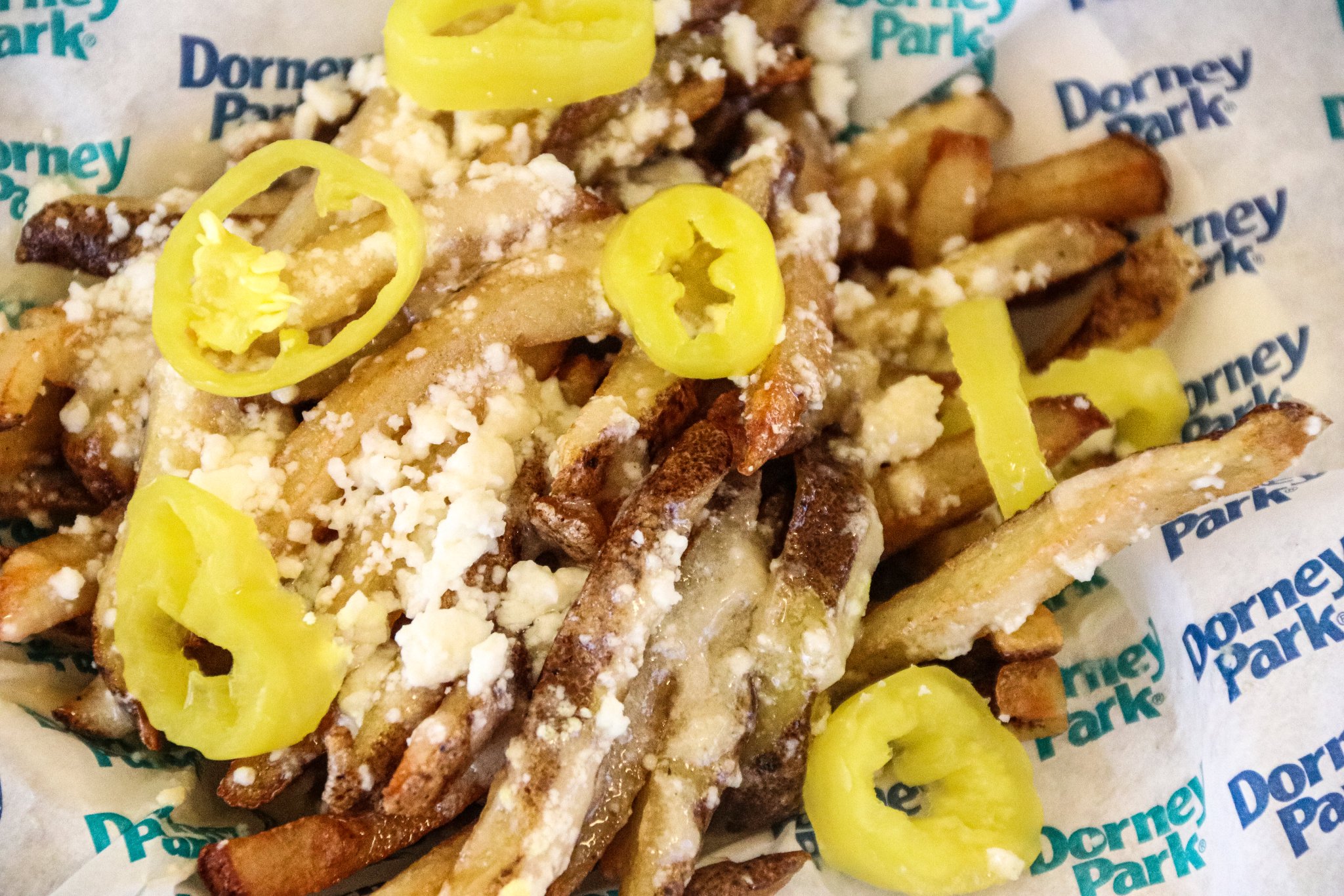 Dorney Park on Twitter "First up, and this weekend ONLY cedarpoint