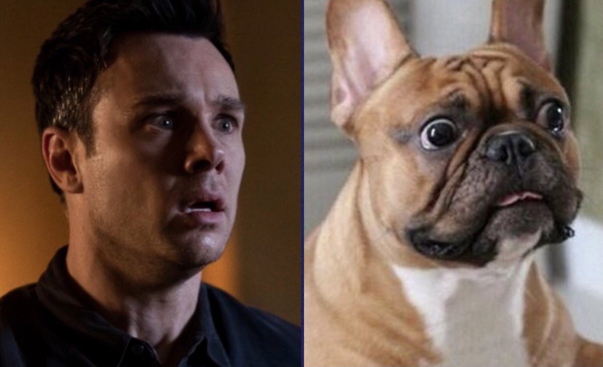 One more week till a new episode of #Charmed. Ruff.