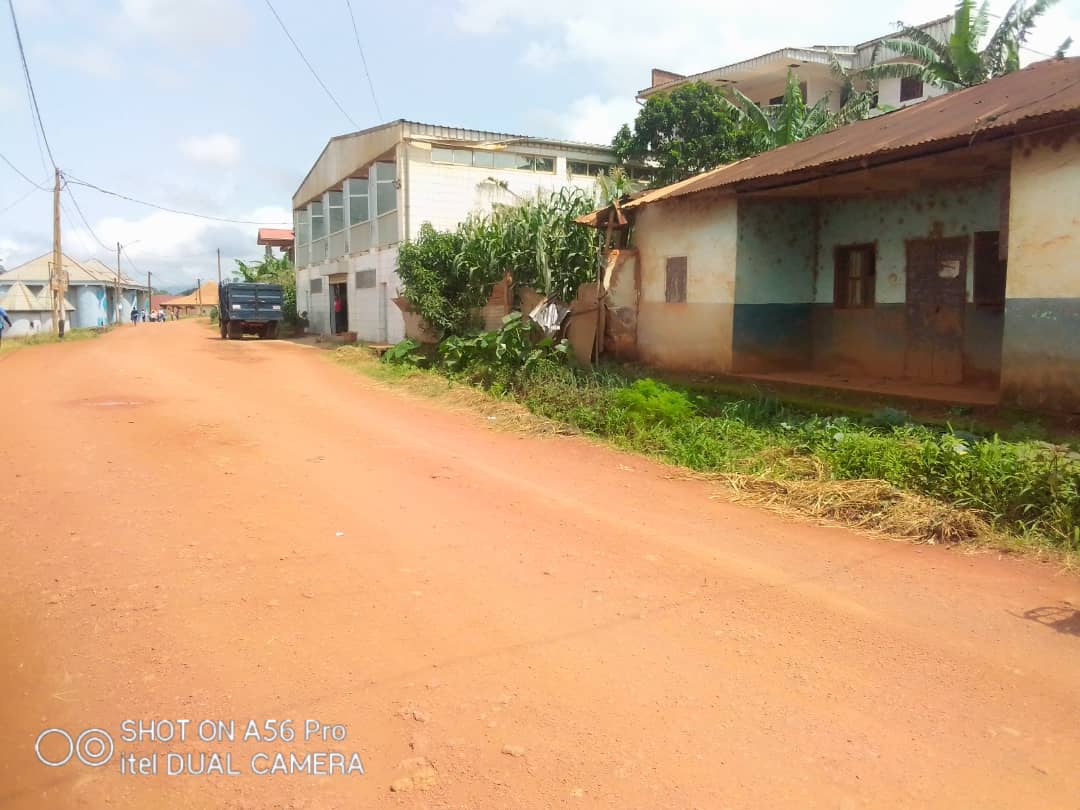 SolutionStanda3's tweet image. Dschang 
Terrain titré  centre urbain a vendre 
Lieu : foto a côté de l'Alliance franco camerounaise dschang 
Superficie : 439m2
Prix: 90.000f/m2
Siège social : carrefour Albert Camus dschang 
Ici c'est la solution 
Solutionstandardcamerounssc@gmail.com676131595/695052440