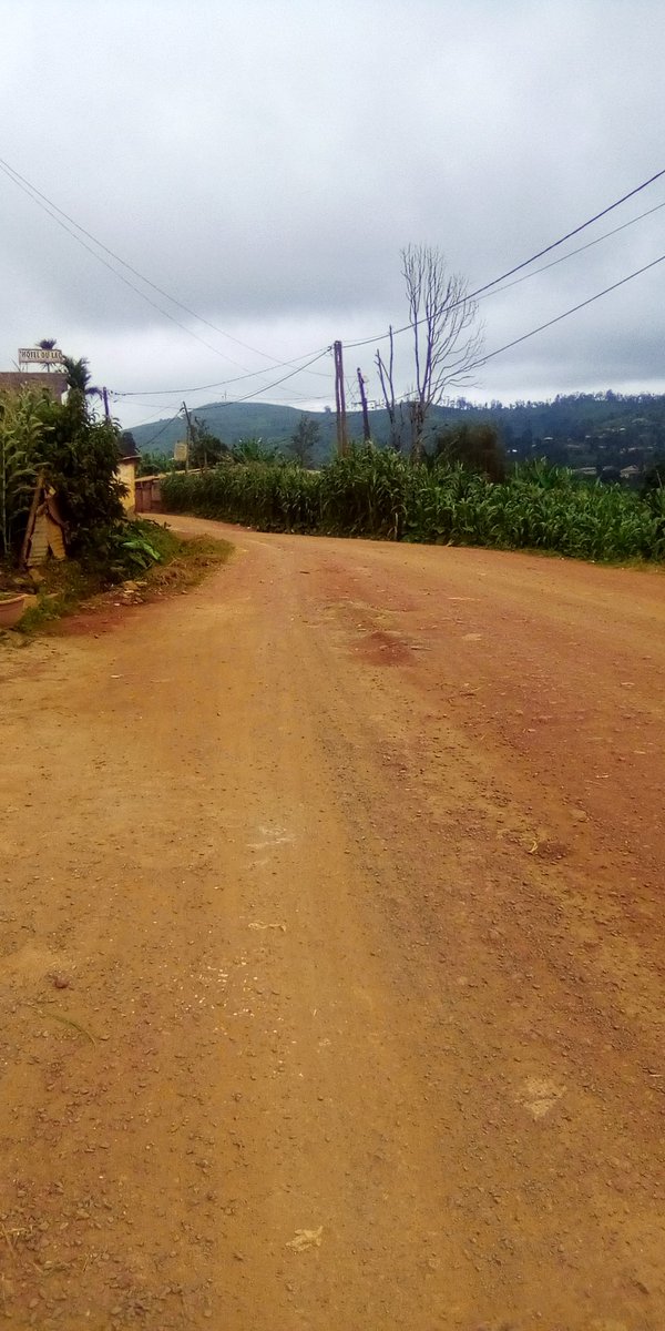 SolutionStanda3's tweet image. Dschang 
Terrain titré  centre urbain a vendre 
Lieu : foto a côté de l'Alliance franco camerounaise dschang 
Superficie : 439m2
Prix: 90.000f/m2
Siège social : carrefour Albert Camus dschang 
Ici c'est la solution 
Solutionstandardcamerounssc@gmail.com676131595/695052440