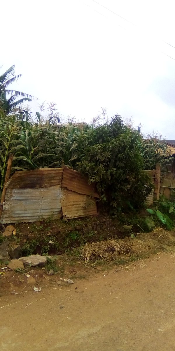 SolutionStanda3's tweet image. Dschang 
Terrain titré  centre urbain a vendre 
Lieu : foto a côté de l'Alliance franco camerounaise dschang 
Superficie : 439m2
Prix: 90.000f/m2
Siège social : carrefour Albert Camus dschang 
Ici c'est la solution 
Solutionstandardcamerounssc@gmail.com676131595/695052440