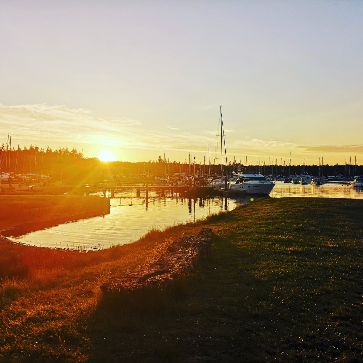 RachelElvidge's tweet photo. At Buckler's Hard, at #sunset https://t.co/BF7G2hZv6w