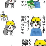 何を信用すればいい？周りが信用できない中で働く現場猫!