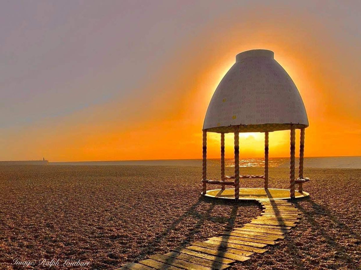 Sarah Shields tweet media