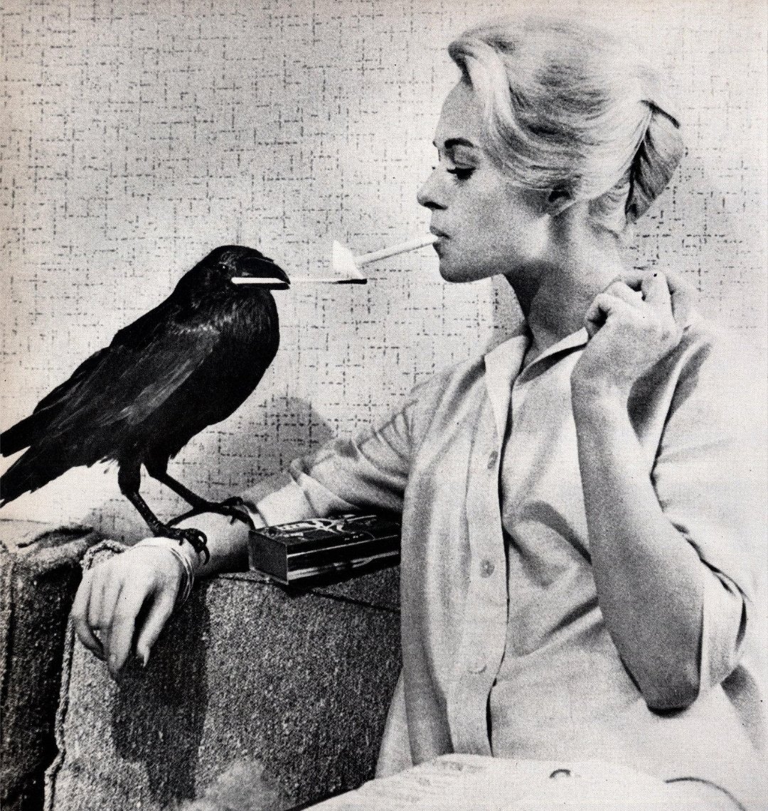 Behind_Pics's tweet photo. The Birds (1963) https://t.co/ir3E2FgQlZ