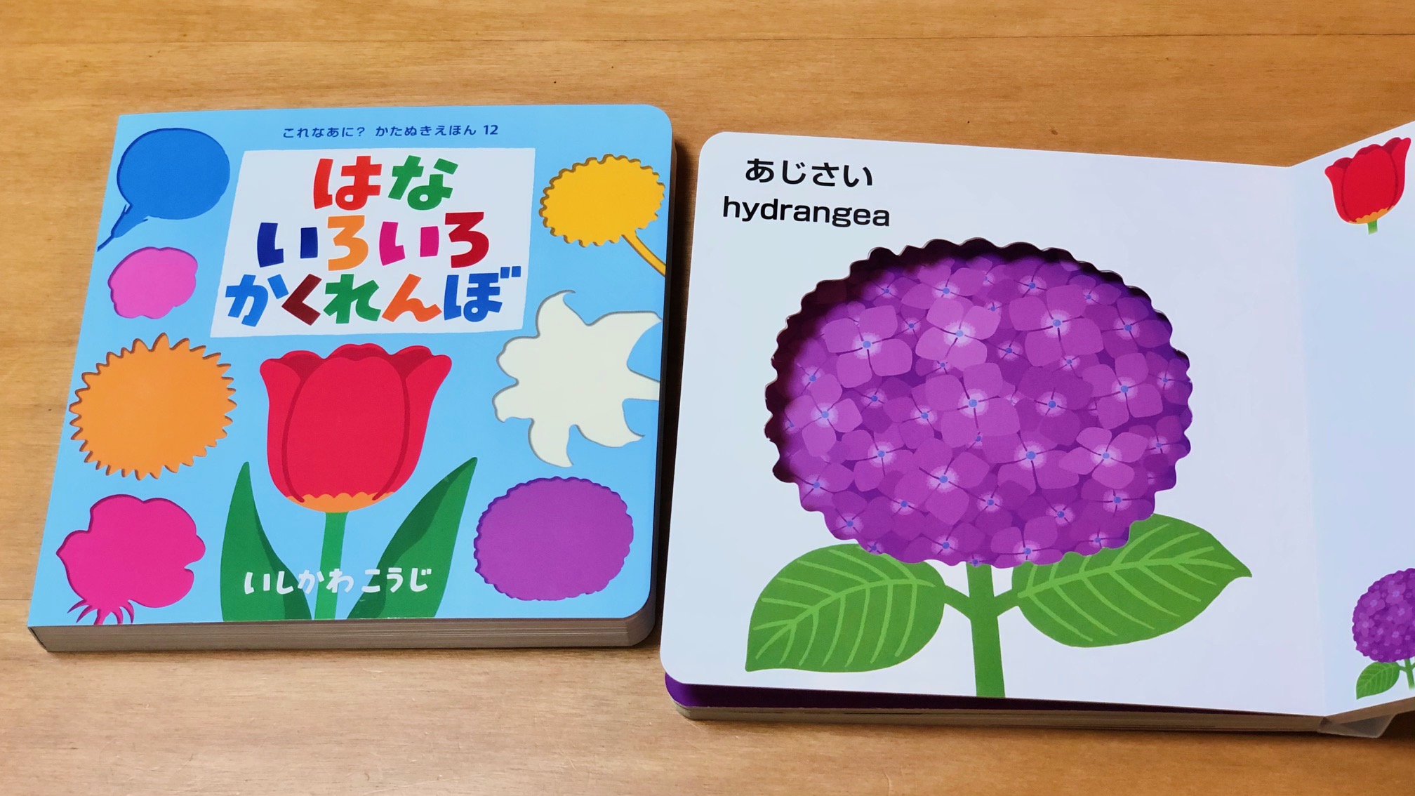 いしかわこうじ 絵本作家 はないろいろかくれんぼ では あじさいも描きました 小さな花が集まった紫陽花の独特の美しさを 叙情的に描いてみました シリーズの中でやや異色のページですが おかげさまで好評をいただいています 書店さんでご覧