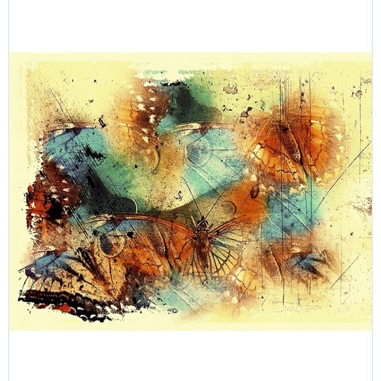 NFTFineArt's tweet photo. @fortunatofortunatogarcia 
“Butterflies”

Available on https://t.co/SP5NCjizOj
.
.

@nft_fineart 
#NFT #nfts #nftart #cryptoart #cryptoartist #digitalart #nftfineart #nftcollector #blockchainart #blockchainartists #newmediaart #niftygateway #knownorigin #superra… https://t.co/BqceWyjlcL