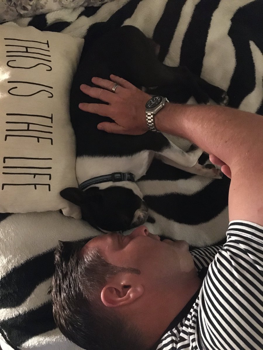 mrs_g_2310's tweet photo. Ahhh, true love 💙 🐶 #LittleFred ⁦@Scottjgraham75⁩ #BostonTerrier #SleepyBoy https://t.co/GnKSM3gNM9