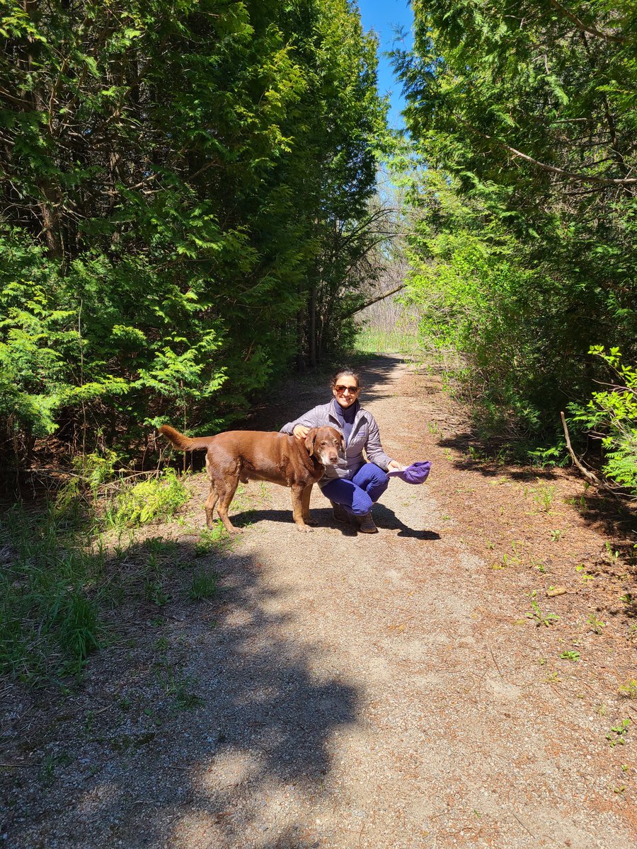 cmccnews's tweet photo. Board Member Dr. Sunyatta Guild and Choco walking their 5K in Ontario turtle territory!
#Backsinmotion #turtlesrule #iloveturtles https://t.co/ZhJ8UGoP8J