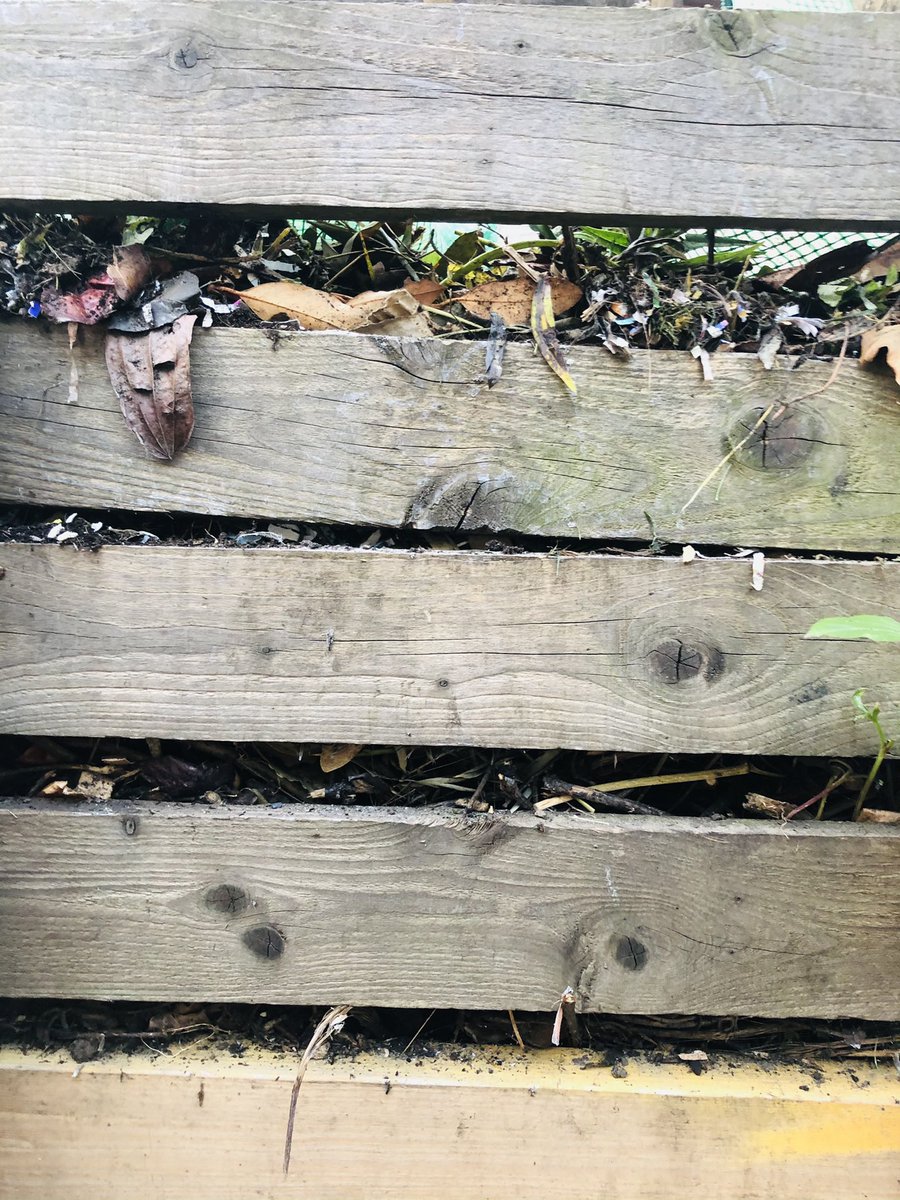 OfficialLoake's tweet photo. Entering the #gardening hashtag to share some recent compost success after several months of trying. Hot compost! 🪄 https://t.co/0EZx3c9TSw
