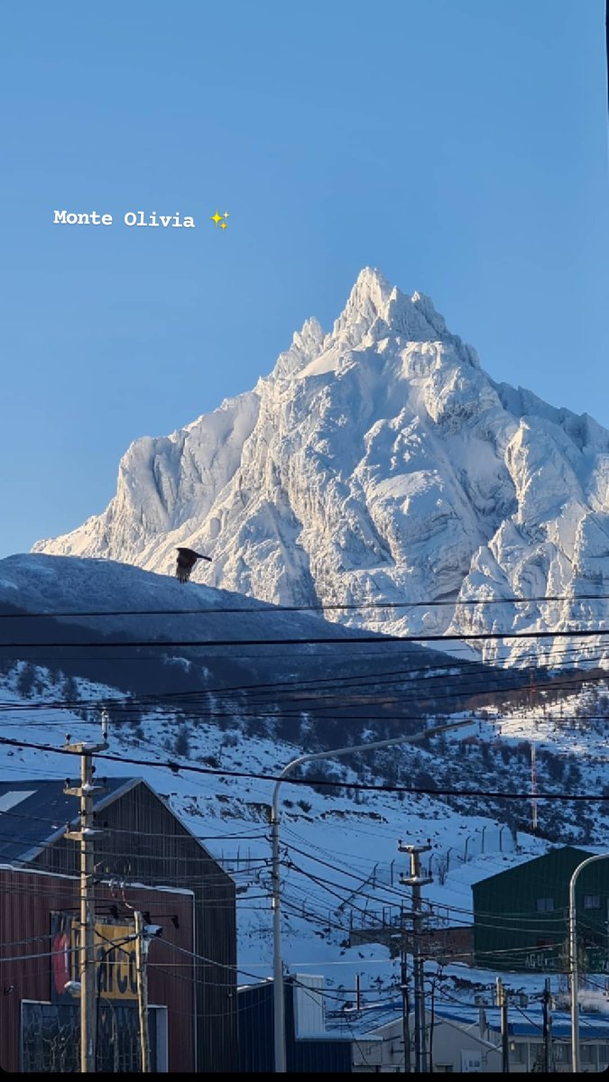 Amando el lugar en donde vivo ❄️

#ushuaia
#tierradelfuego