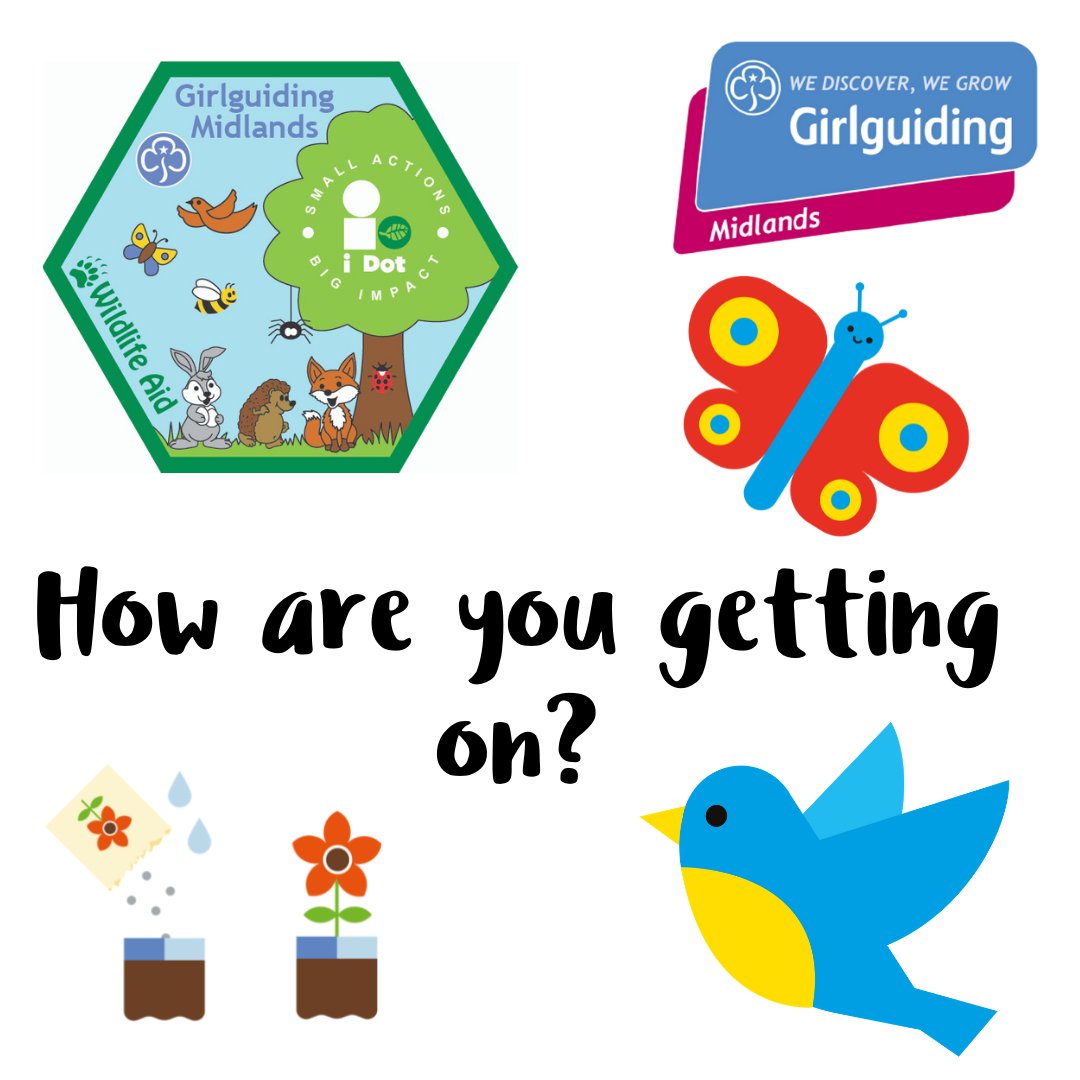 GirlguidingMids's tweet photo. It's been a few weeks since we launched the @idoonething challenge & we'd love to hear how it's going. Tell us about your #IDoOneThing & don't forget to register it here 👉https://t.co/7ftO5ISYMU
Missed the challenge? Find it here 👉 https://t.co/2ILEE2h8Ob https://t.co/Nvzz84U0j0