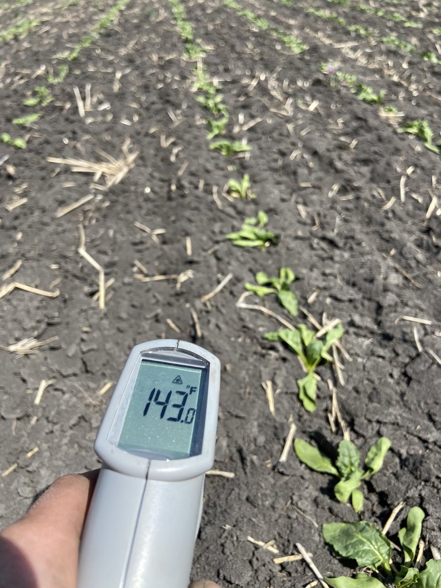 Billy Petersen tweet media