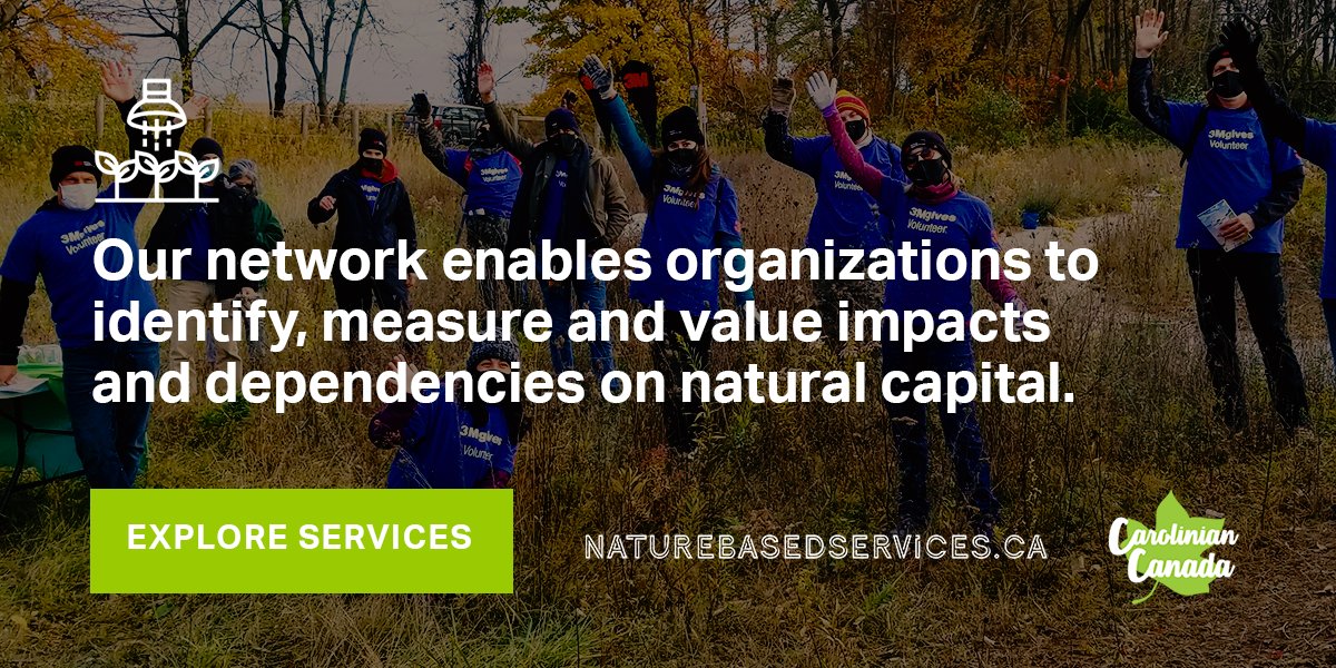 Our approach empowers organizations to deliver benefits to employees, society, the economy and natural world alongside your business.  All organizations, to varying degrees, are dependent on the health of the natural world. 

Explore our services at naturebasedservices.ca