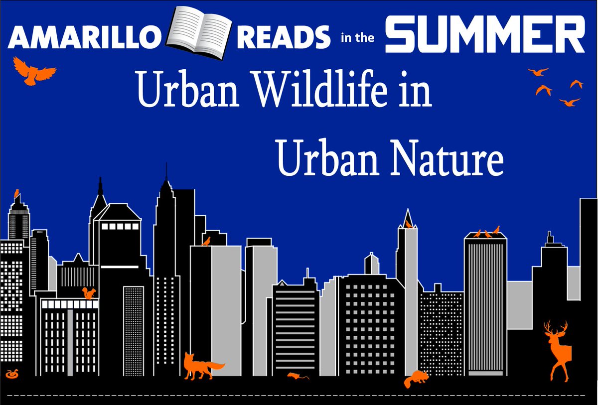 AmarilloPublic's tweet photo. Join us June 5, 2 PM, at the Southwest Branch for URBAN WILDLIFE in URBAN NATURE.  TX Parks &amp; Wildlife biologist, Todd Montandon, discusses wildlife in an urban setting, including the importance of urban wildlife, attraction and deterrence, and who to contact when issues arise. https://t.co/qGjgqjCKkw