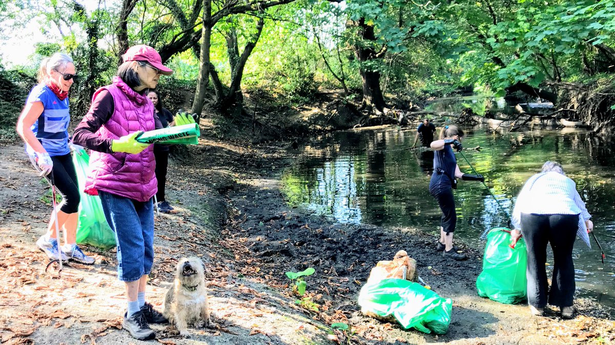 Andrew Davidson tweet media