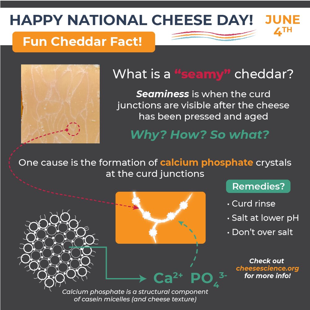 CheeseScience tweet picture