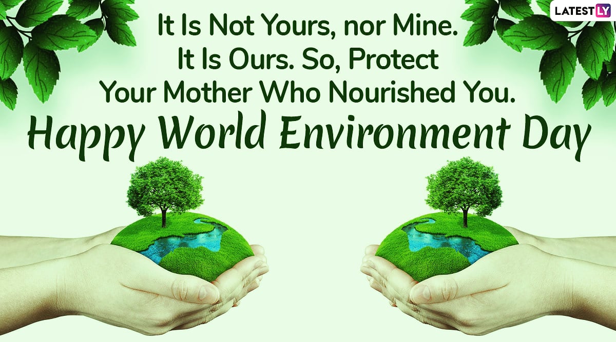 lars2359's tweet photo. Give a helping hand #WorldEnvironmentDay #environmentalist #Conservationist #NoPlanetB #MotherEarth https://t.co/lMc6qDqWP7
