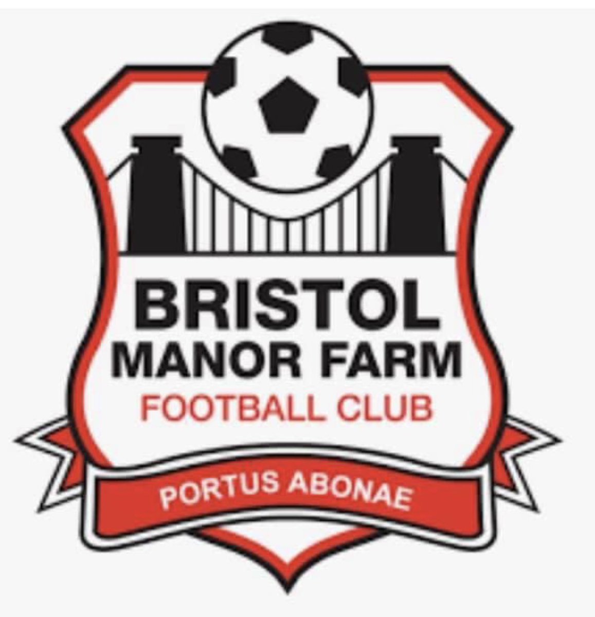 ssyfcunder13's tweet image. This Sunday sees our squad involved in two tournaments.

We have half of the squad travelling to play on the pitch @ Stanford Bridge Chelsea FC 

&amp;amp; the other half travelling to Bristol Manor Farm 

All the best to all the lads involved 🔵⚪️🔵⚪️🔵

#ssyfc #experience #memories