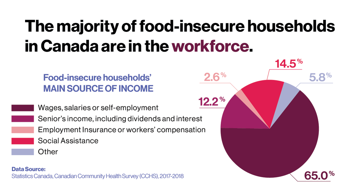 We often think that having a job should be enough to meet our basic needs. Unfortunately it’s not. Most food-insecure households in Canada are in the workforce. Too many households rely on low-paying, part-time, short-term, and precarious work that doesn’t bring in enough income.
