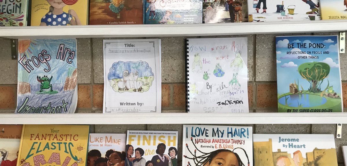 First grade books on frogs are proudly placed on the shelf of very important books! <a href="/MrsKsOwls/">Stephanie Kacamburas</a> <a href="/MsBrothersCove/">Olivia Brothers</a> @Cove_STEM <a href="/duncove1/">Stacie Dunleavy</a>