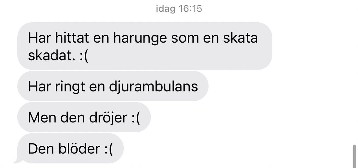 Eva Thalén tweet media