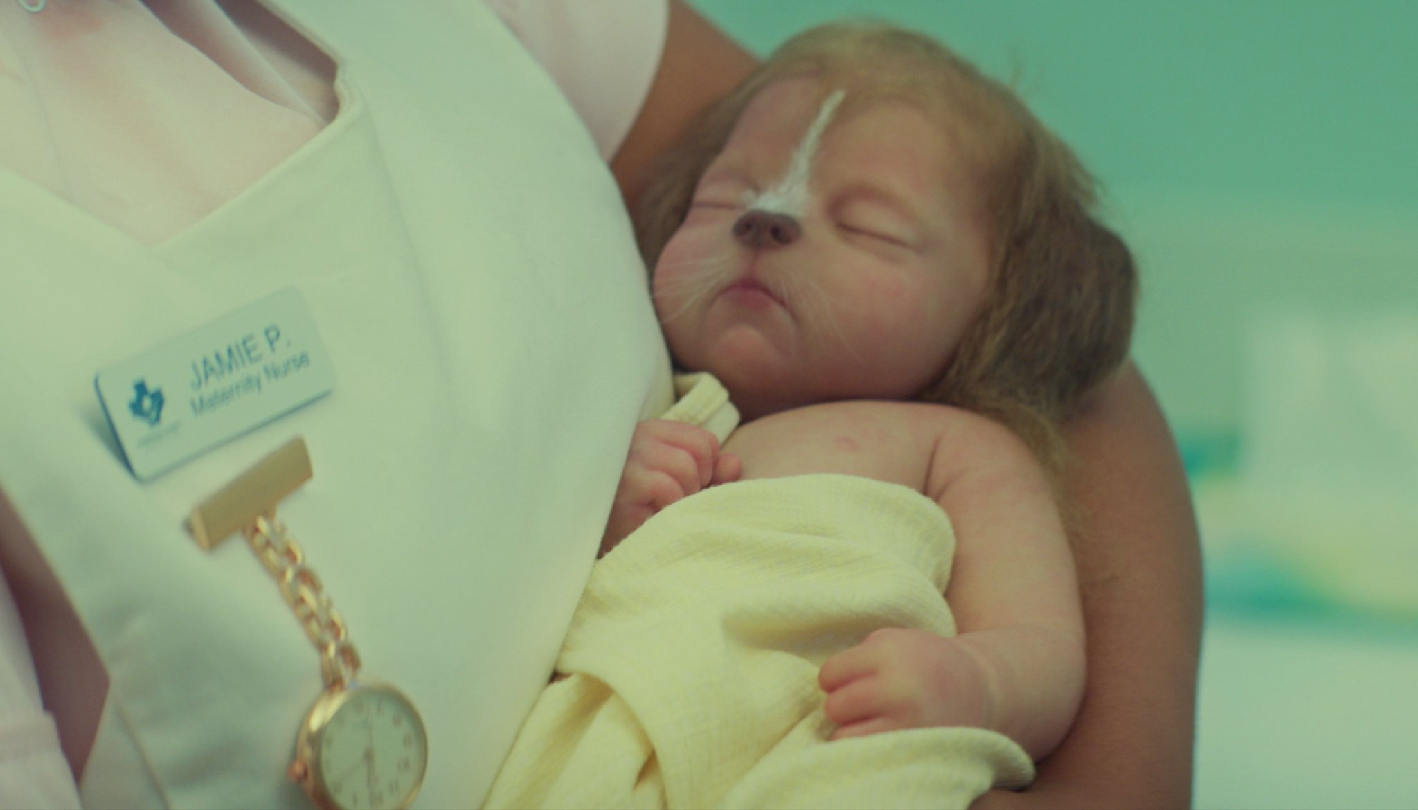 Netflix on Twitter: "Can we talk about how cute the hybrid babies on