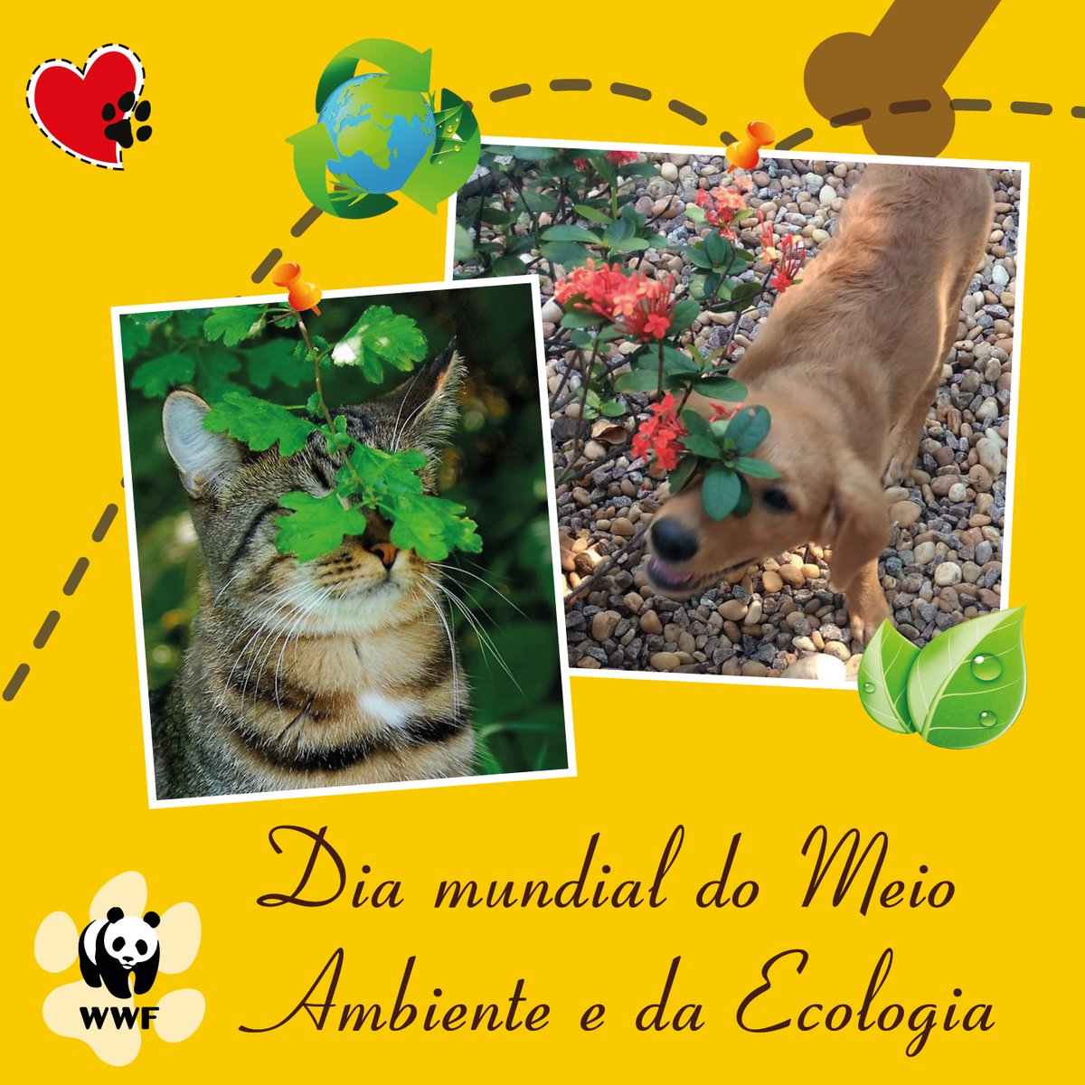 roupapetbr's tweet photo. 05/06 #DIAMUNDIALDOMEIOAMBIENTE♻️ E #DIADAECOLOGIA
#Repense #reintegre #responsabilize_se #recuse #reduza #reaproveite #recicle
#CuidarcomeçaAgora
#Preserve
#JuntosÉPossivel
#Planeta🌎 e #Natureza🏝️agradecem! #EuSouMinhaVozPeloPlaneta
#wwfbrasil🐼 #onubrasil
#ConectadonoPlaneta https://t.co/YVMiZ1votO