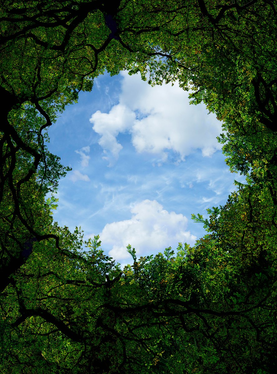On World Environment Day, we celebrate the beauty of the natural world and are reminded to not take it for granted.

📸: Chris Clor

#PictureOfTheDay #POTD #generationrestoration #worldenvironmentday