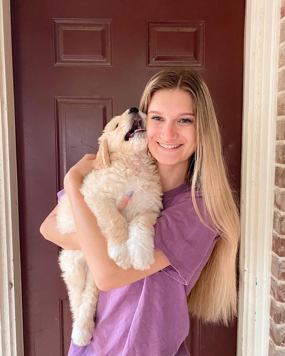kylee2mayfield's tweet photo. since I posted him everywhere else, meet wrigley, the goodest most handsome boy 🐶❤️ https://t.co/WDwkRcmALO