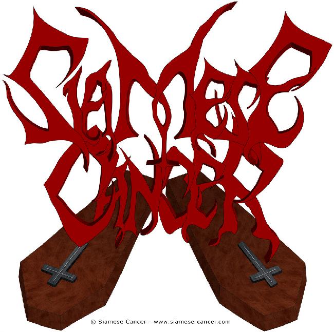 Sandro Silva continued to battle with Siamese Cancer with Alexandre Jardim (lead guitar), Mauricio Garanito (rhythm guitar) and Danny Saldanha (vocals and lyrics, the former singer of Hideous Evocation; sang also in an Altar Of Pain’s gig in 2010).
They recorded a promo cd