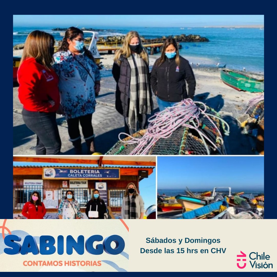PRODEMU's tweet photo. Hoy estaremos en @Sabingochv a partir de las 15:00 con nuestras mujeres de la pesca de la región de Coquimbo que gracias a nuestro programa "Caleta Digital Mujeres Del Mar" cuentan con internet en la caleta. ⁣¡No se lo pierdan!
#caletadigital ♀ #RedparalaAutonomíadelaMujer https://t.co/iWmCxW5bDJ
