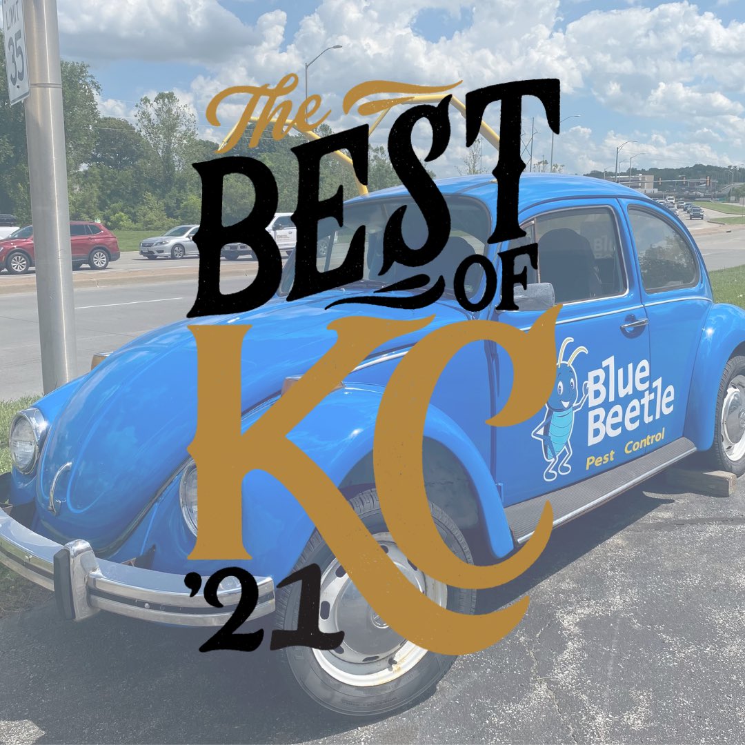 Voting is still open for Best Pest Control in KC! Go vote now before it’s too late! 💙💙

vote.kansascitymag.com/home/best-pest…