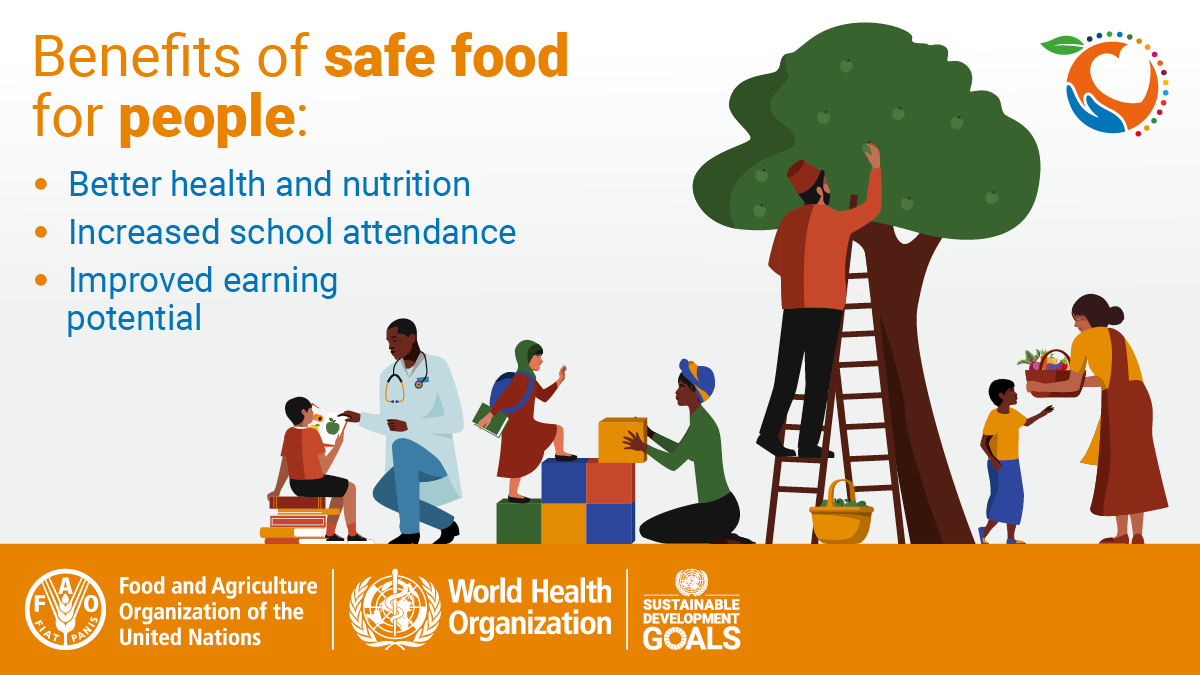 United Nations (@un) on Twitter photo Monday is #WorldFoodSafetyDay.
Safe food can help improve:
🍎 health & nutrition,
📚 school attendance,
💰 earning potential.
More about the importance of safe food from <a href="/FAO/">Food and Agriculture Organization</a>: fao.org/world-food-saf… Monday is #WorldFoodSafetyDay.
Safe food can help improve:
🍎 health & nutrition,
📚 school attendance,
💰 earning potential.
More about the importance of safe food from <a href="/FAO/">Food and Agriculture Organization</a>: fao.org/world-food-saf…