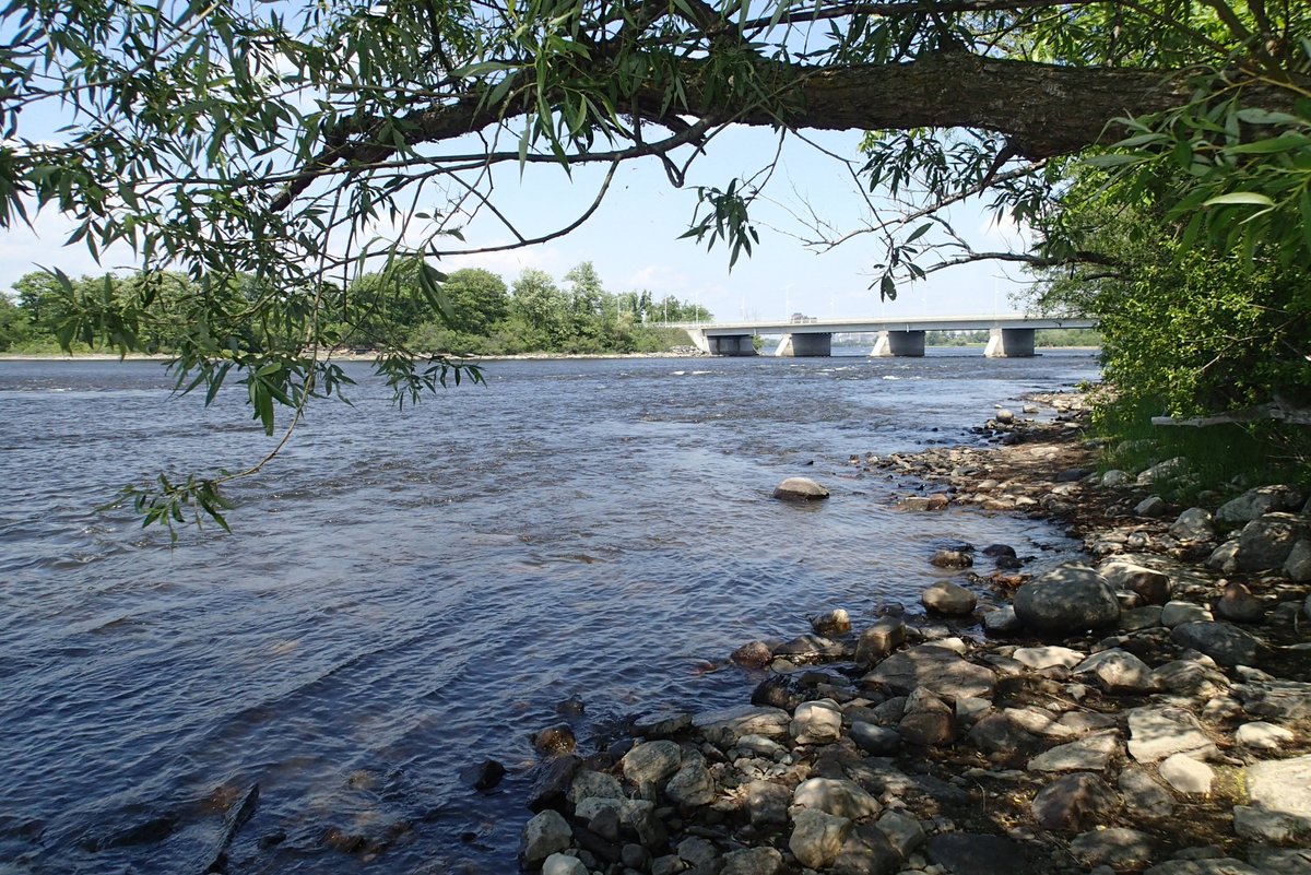 MortenLidegaard's tweet image. Lovely 30k run to Britannia Beach and back - A bit warmer than expected but awesome weather: 27°C 😀
Hope you've had a splendid Friday😋
Have a great weekend!
#IStartHere @OttawaMarathon @runottawa
#TeamNuun @nuunhydration
#mmrun 93+94+95/100 @MegaMeterRun
#MyOttawa and beyond...