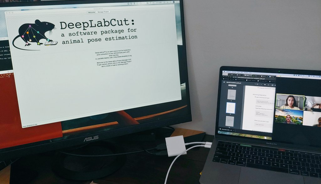 Sarah Kraeutner, PhD tweet media