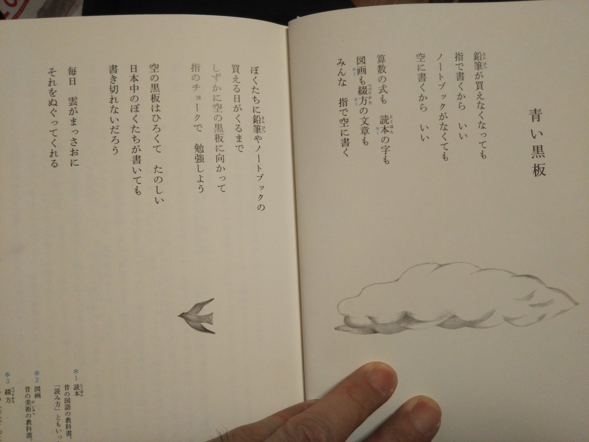 限定版丸山薫詩集