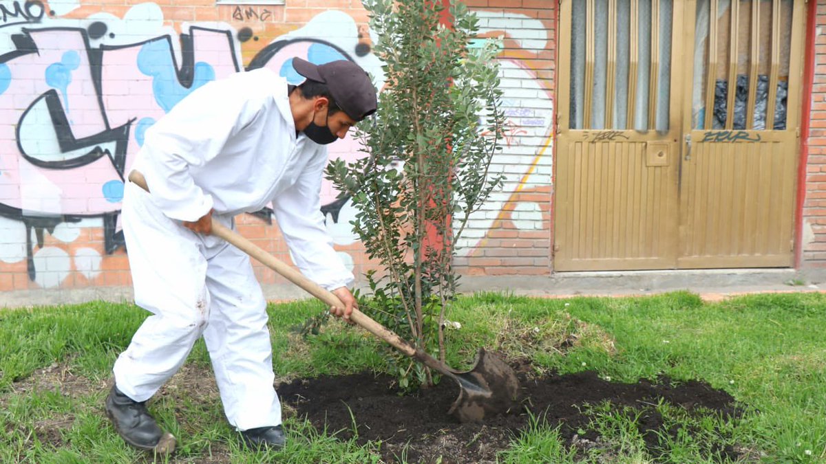 Alcaldiakennedy's tweet photo. Hoy en #Kennedy inició la estrategia #NuestraZonaSegura con la participación de diferentes entidades, donde vecinos del parque Supermanzana 11 ayudaron a reverdecer este sector, a limpiarlo y participar de varias actividades. https://t.co/H3ZbRBaAef