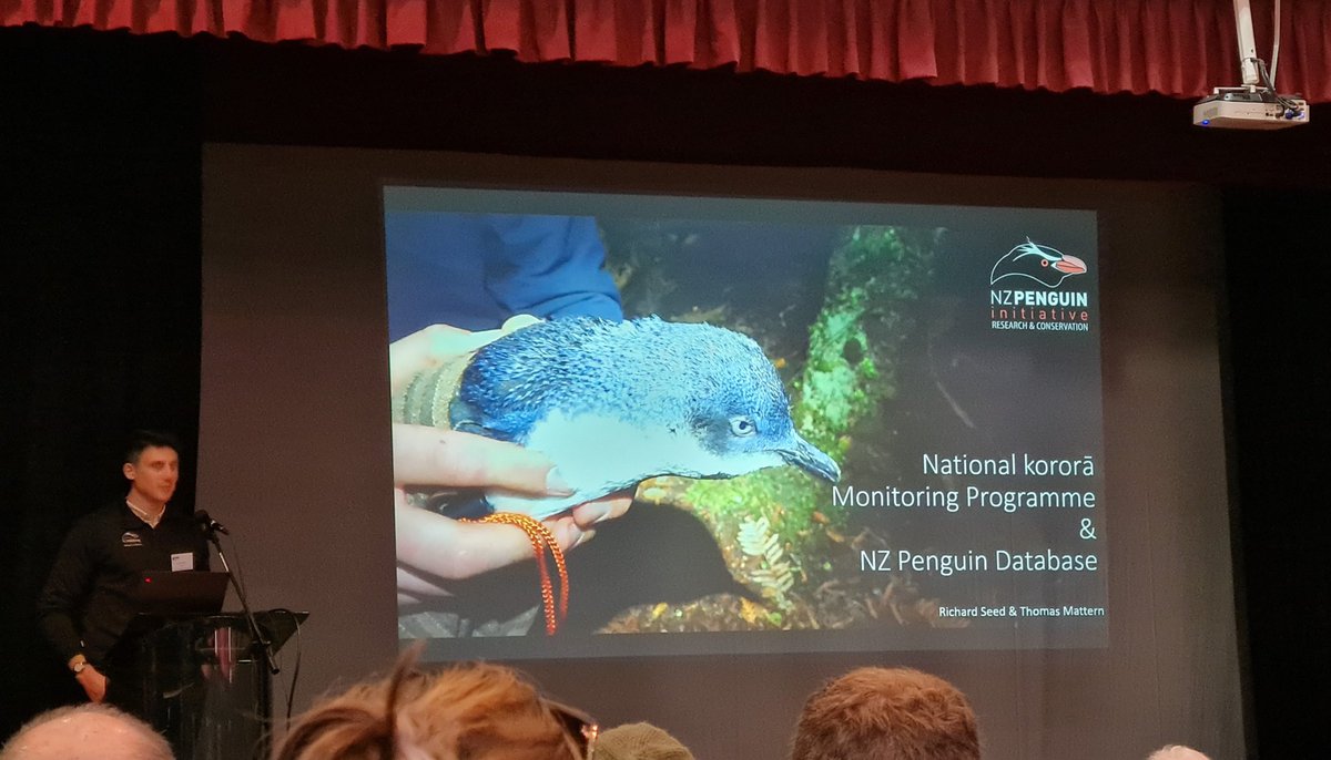 blackpetrelbiz's tweet photo. Exciting opportunities to collaborate with penguin research towards a strategic direction for conservation... #birdsnz2021 https://t.co/3Fn0WJtcV2