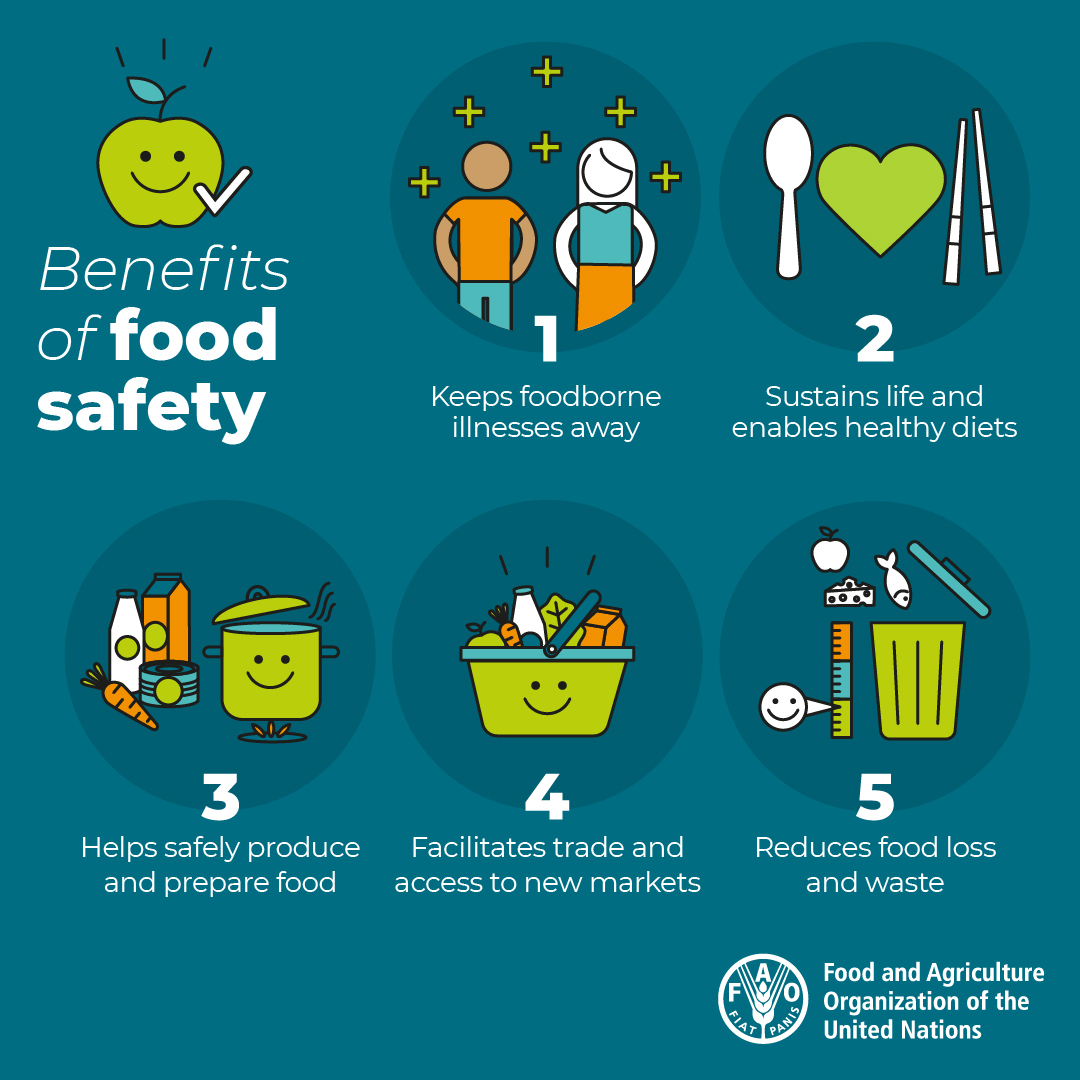 UN's tweet photo. Food safety is everyone's business and can:

☑️ prevent foodborne illnesses,
☑️ promote healthy diets &amp; lifestyles,
☑️ reduce food loss &amp; waste,
and more! 

On Monday's #WorldFoodSafety @FAO has food safety tips. https://t.co/MeHUAPp4IX https://t.co/kjGd3Wvg2C
