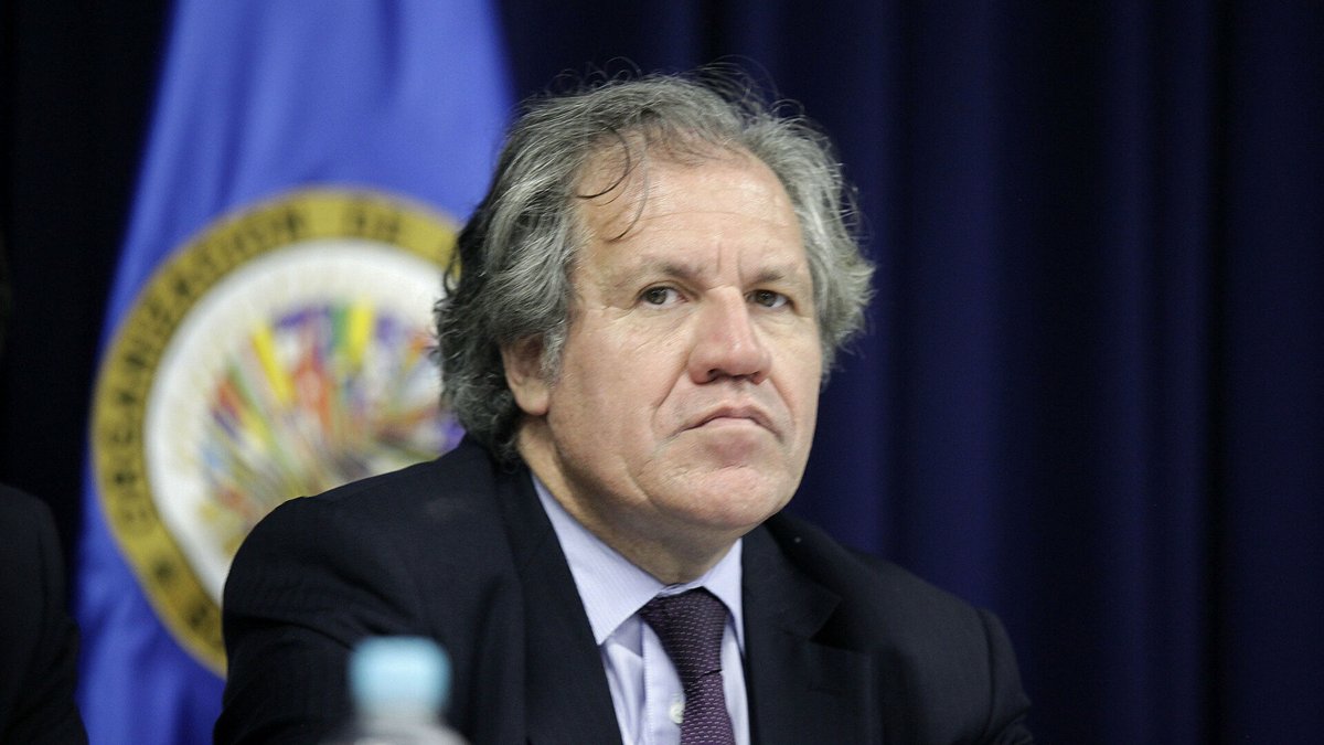 porttada's tweet photo. #Política | @Almagro_OEA2015 vinculado a graves casos de corrupción en las altas esferas de la @OEA_oficial https://t.co/8xC815ajR4 https://t.co/Ln8hnwvbwc