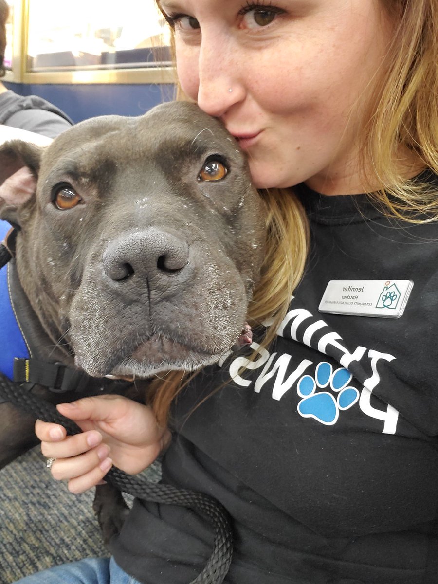 JHatcherHSHC's tweet photo. Caesar has been waiting for a home where he can be the center of your attention since February. He loves snuggling, toys, and giving kisses 🐾 https://t.co/ywfNLr0lzc