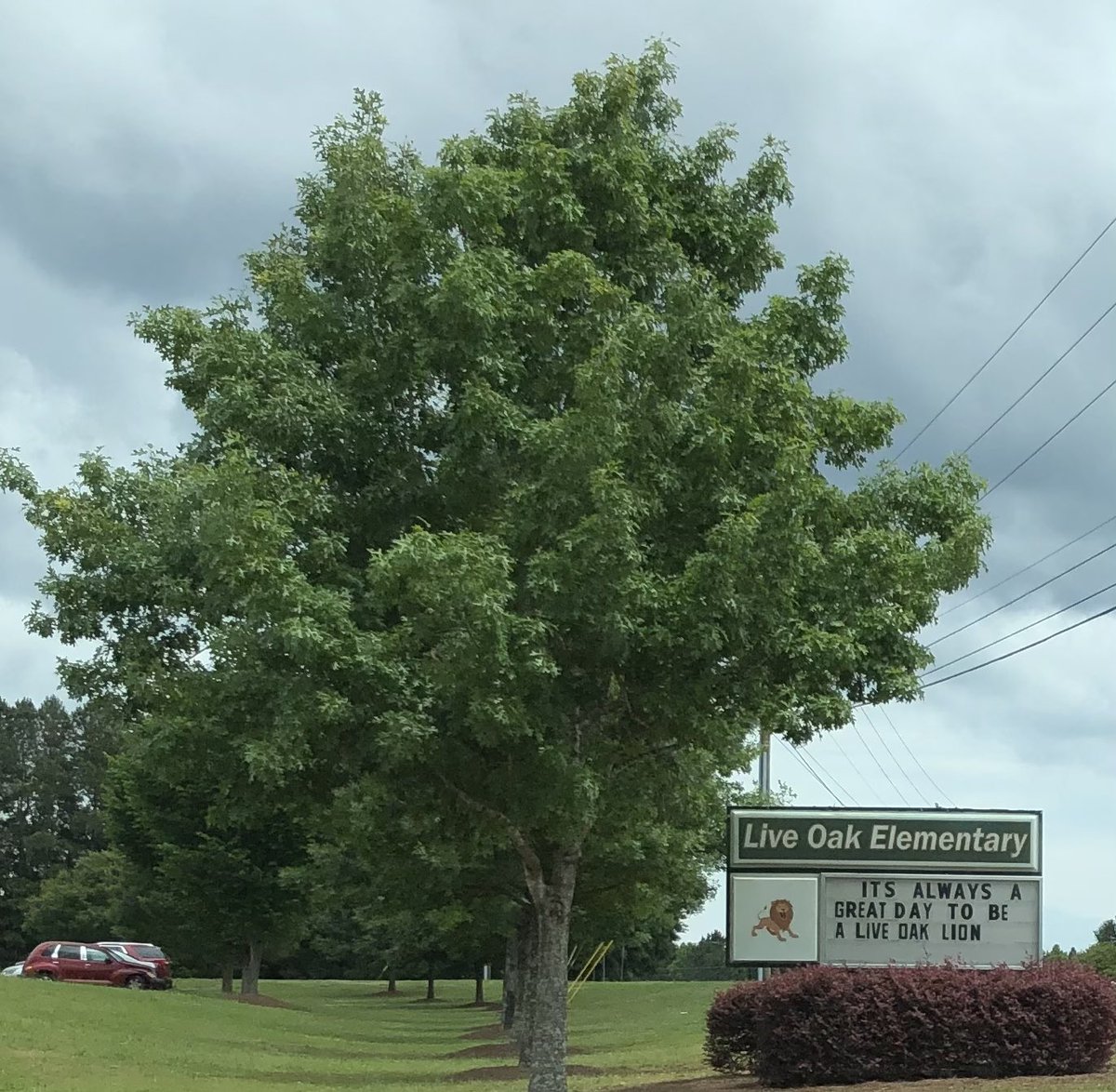 And then there were three.....<a href="/LIVEOAKELEM/">LIVE OAK ELEMENTARY</a>  #ourprekclassrocks!