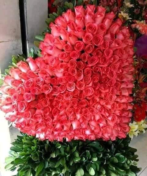 JamiDawood's tweet photo. @nonasexya1 https://t.co/J4ecaXIKFa