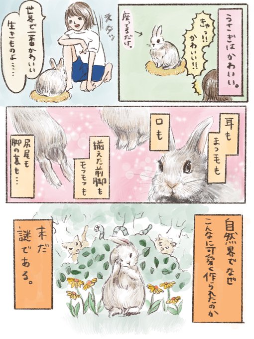 うさぎのいる生活 を含むマンガ一覧 いいね順 ツイコミ 仮