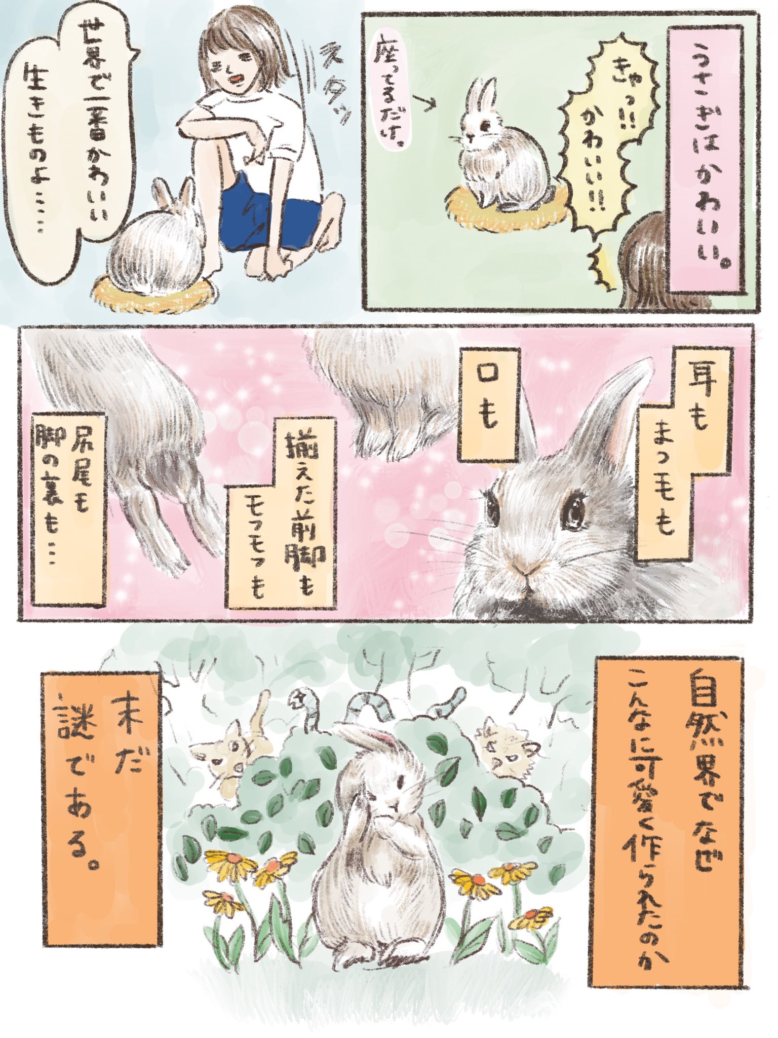 まいにちうさぎのおぱる ただひたすらに何でこんなに可愛いの という疑問 うさぎ 漫画 可愛い うさぎのいる生活 謎 T Co Zyz7nmre2x Twitter