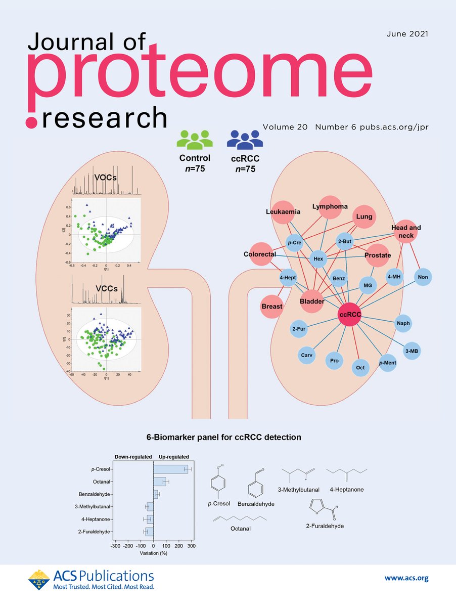 We are excited to share that our work on candidate volatile biomarkers for detection of renal cancer in urine was featured as a supplementary cover in Journal of Proteome Research.

lnkd.in/eEesKQ5

Read the paper here: lnkd.in/epBnmzx