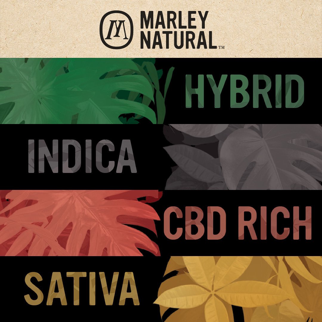 Which one’s your go to? ⬇️

Stop in to any #thejointcannabis location &amp; take a look at our selection of products from <a href="/marleycanada/">Marley Natural Canada</a>!
.
.
#marley #natural #bobmarley #cannabis #thejointcannabis #thejointsk #thejointmb #thejointab #marleynatural #canadiancannabiscommunity