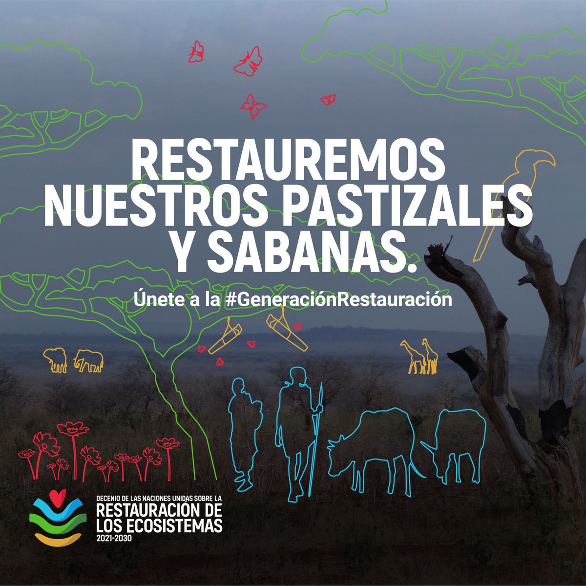 ipbeses's tweet photo. Cada año se pierden 4,7 millones de hectáreas de bosques.

Esa es un área más grande que Dinamarca.

El Decenio de la ONU sobre la Restauración de Ecosistemas comenzará este año, únete a la #GeneracionRestauración💡

Via @unep_espanol &amp; @FAOenEspanol

https://t.co/hF6EQp7s8f https://t.co/jkM8nxZpV2